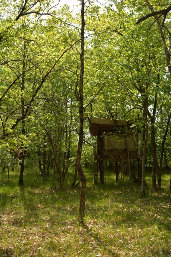 Les Noyers Aulnay Panzió Aulnay  Kültér fotó