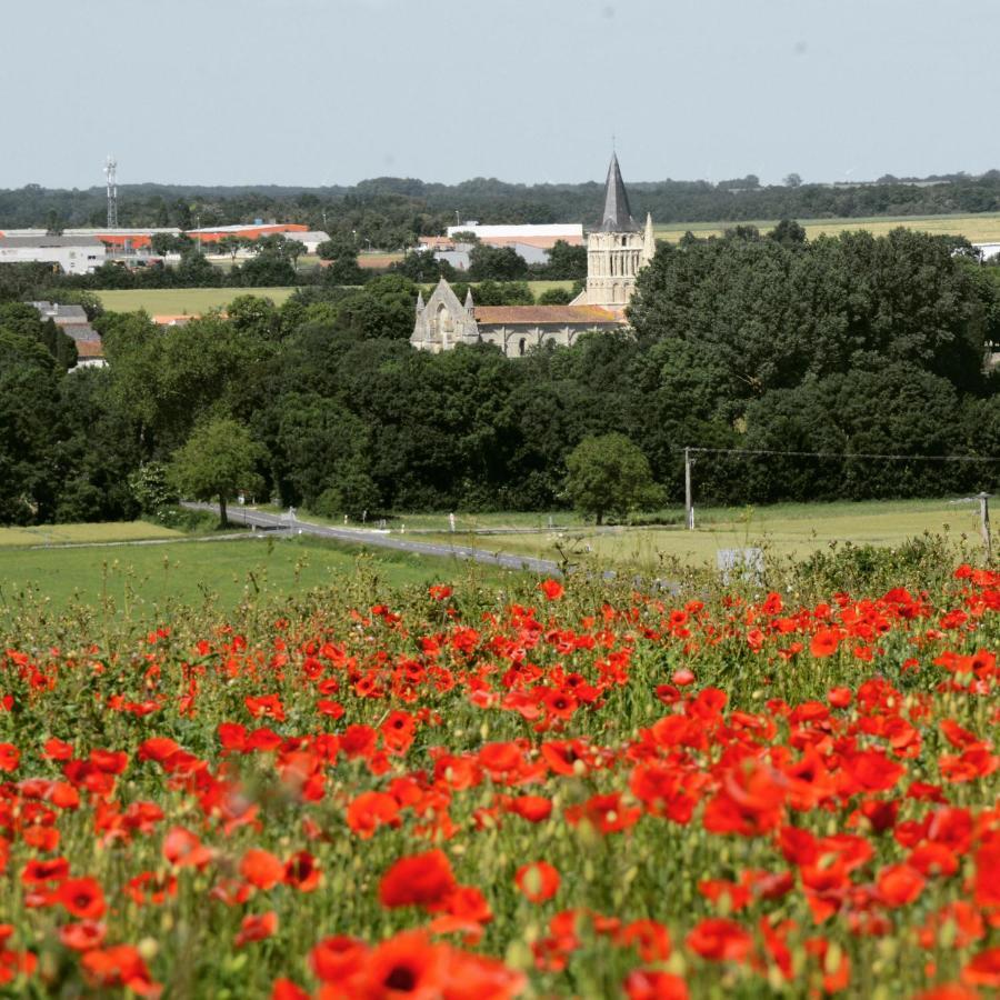 Les Noyers Aulnay Panzió Aulnay  Kültér fotó